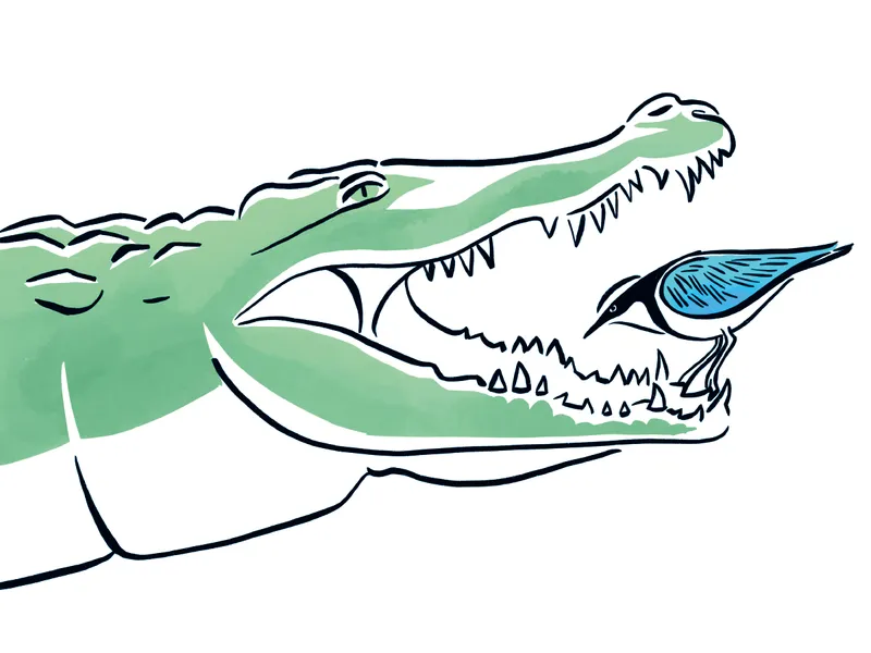 Zahnarzt Christian Helpap